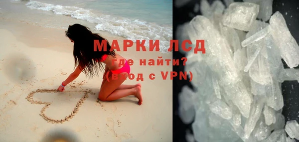 шишки Майский