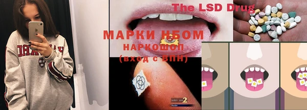 шишки Майский