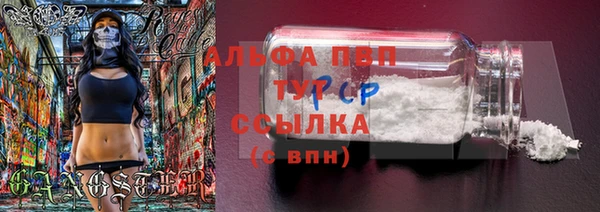 стафф Магас