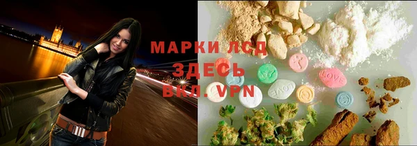 шишки Майский