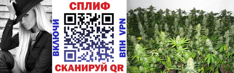 Марихуана OG Kush  Купить где  Северобайкальск 